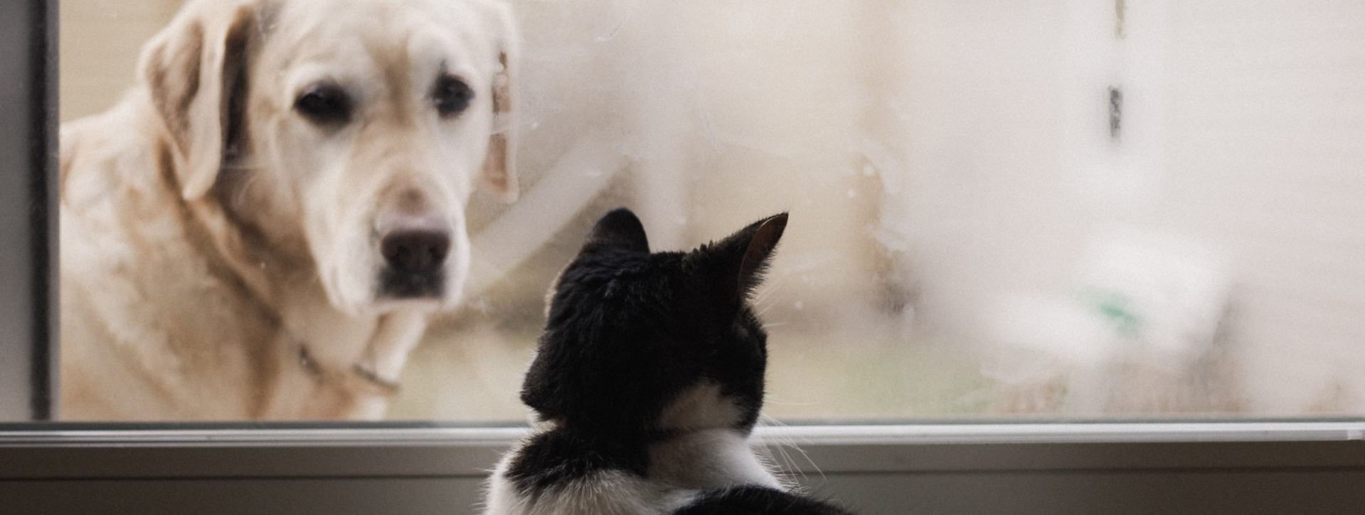 HIRE THE #1 DIGITAL AGENCY IN THE INDUSTRY