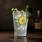 Gin and tonic garnished with lime and rosemary